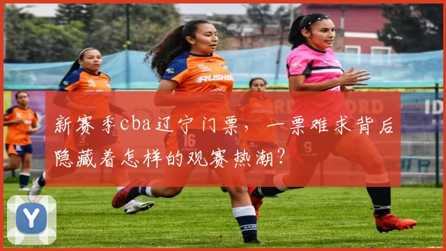 新赛季cba辽宁门票，一票难求背后隐藏着怎样的观赛热潮？