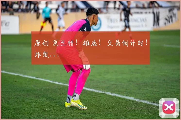 原创 莫兰特！雄鹿！交易倒计时！炸裂...